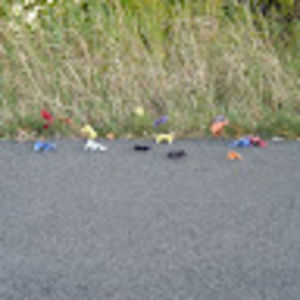 Meet your Posher, Jemima